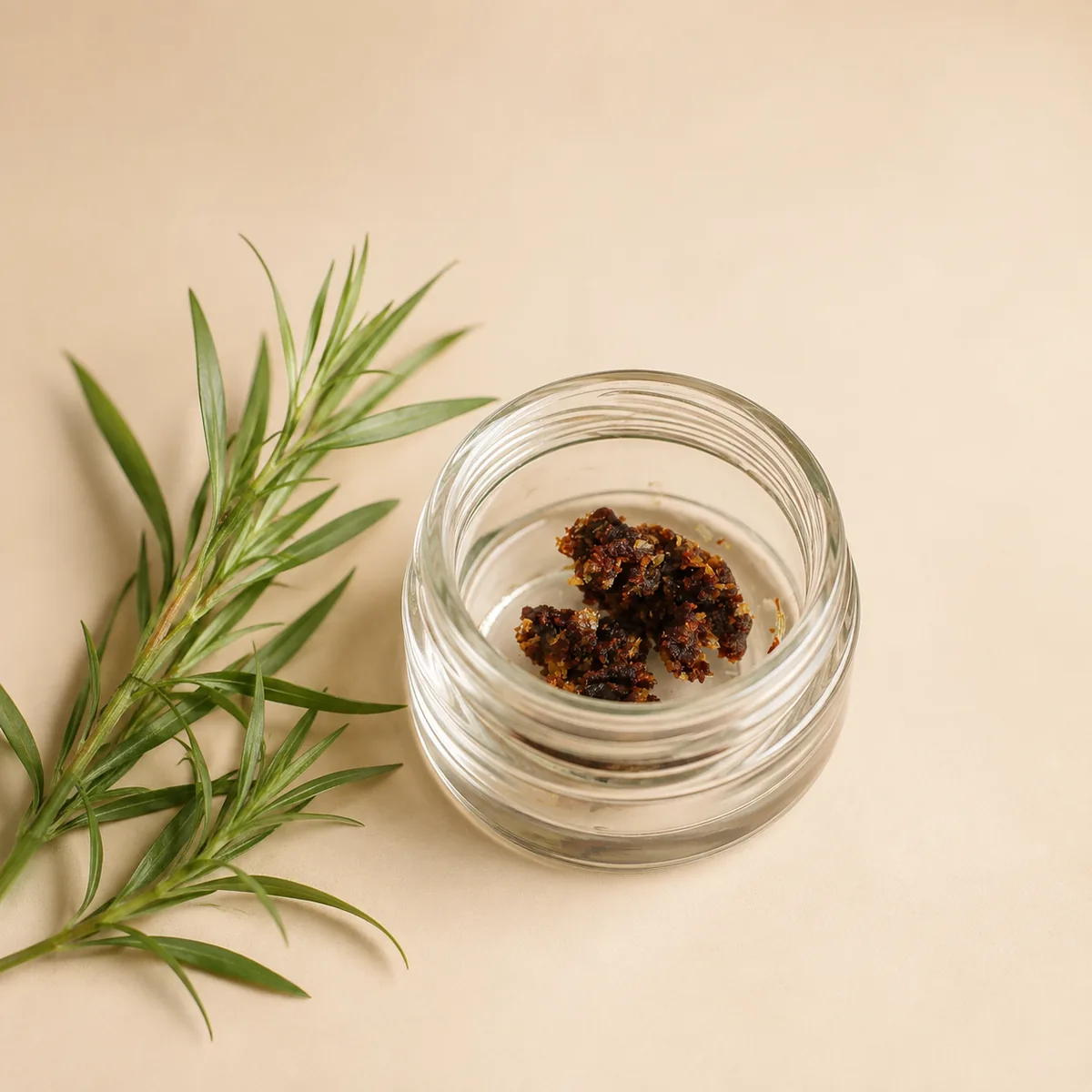 Tarragon Concrete Absolute Alcohol-Washed